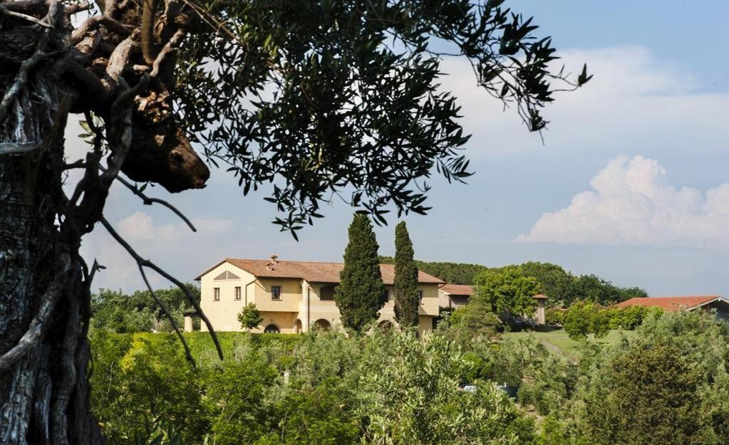 Villa Agriturismo L'Antica Fornace à Peccioli Extérieur photo